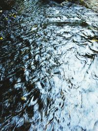 Close-up of frozen water