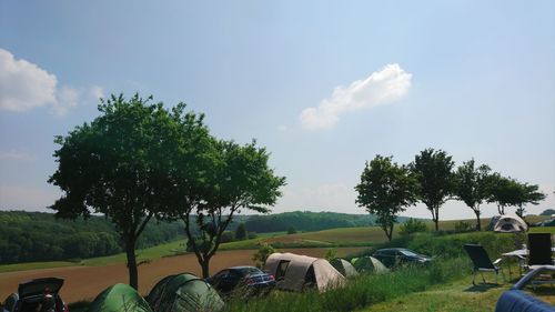 Trees on field against sky