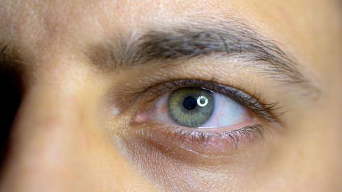 Close-up portrait of woman eye