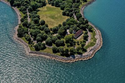 High angle view of tree by sea