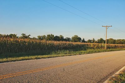 Agricultural field by empty road against clear sky