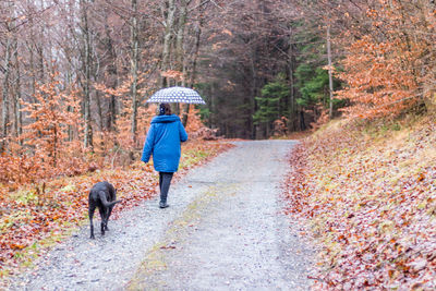 Rear view of woman walking on dirt road with dog in forest