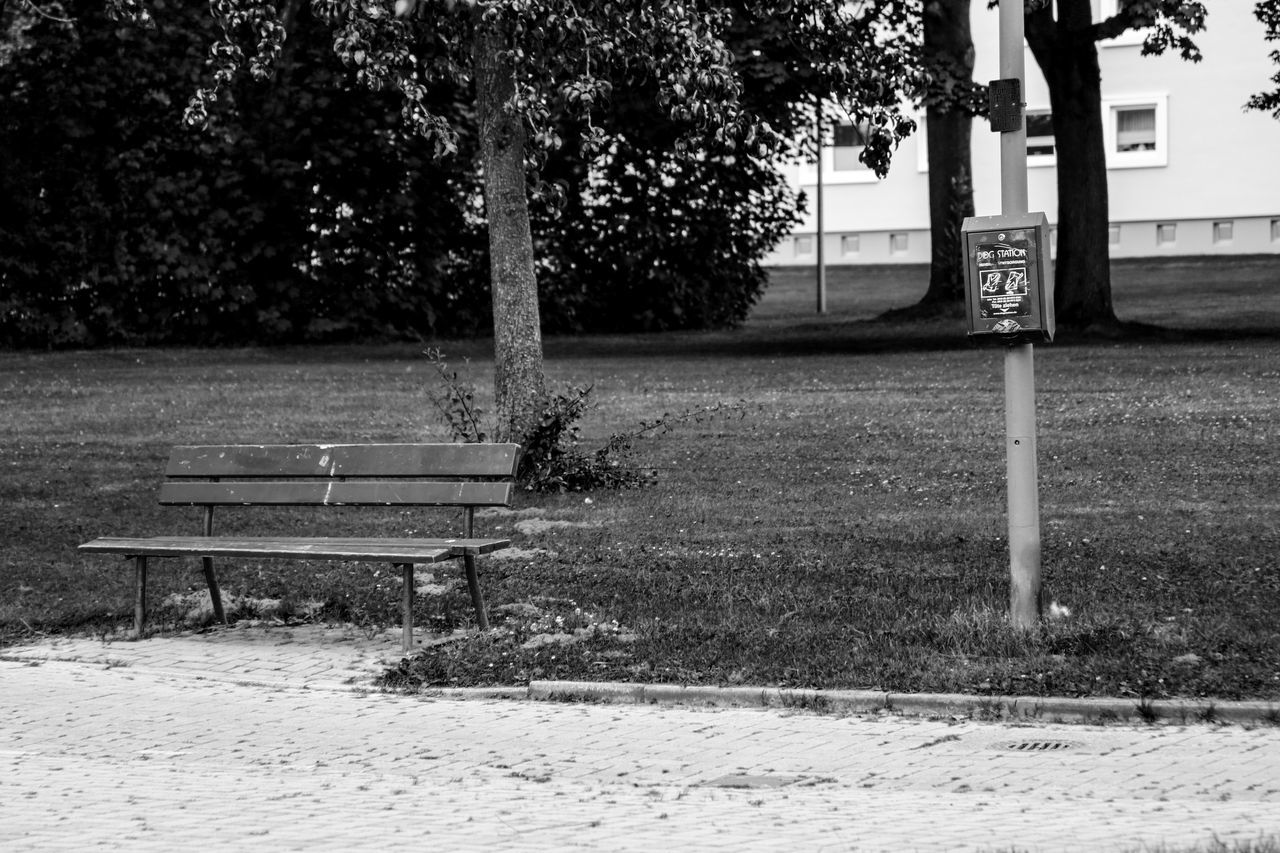 tree, empty, park - man made space, outdoors, day, nature, growth, no people, sky