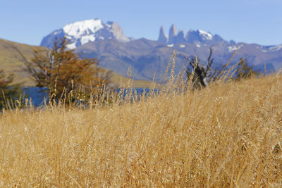 Scenic view of field and mountains against sky