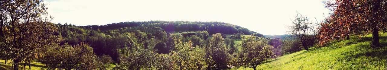 Scenic view of landscape against clear sky