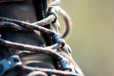 Close-up of sports shoe