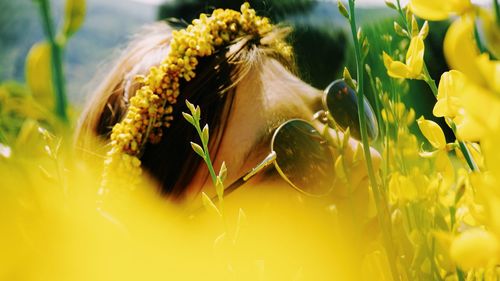 Close-up of yellow sunflower on field