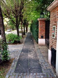 Footpath amidst houses and trees in city