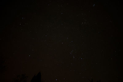 Low angle view of star field against sky at night