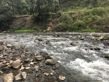 River flowing through rocks in forest