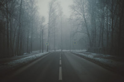 Road in forest during foggy weather