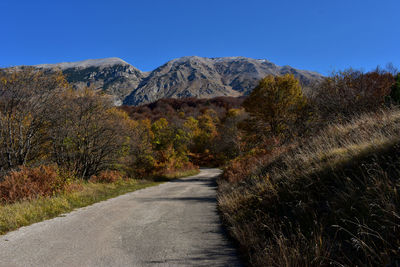 Road amidst trees against clear blue sky