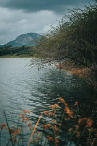 Scenic view of lake against sky