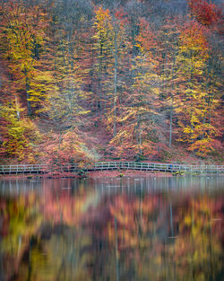Reflection of trees in lake during autumn