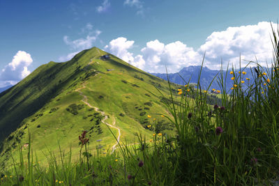 Scenic view of field against sky