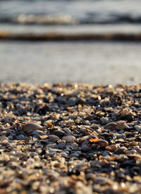 Close-up of stones on beach