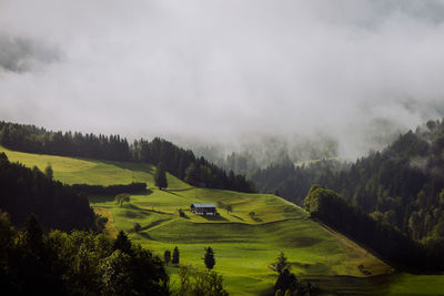 environment