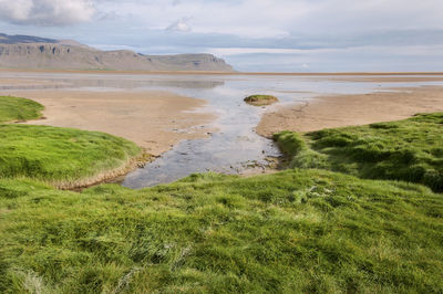 Scenic view of beach against sky