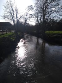 River amidst bare trees against sky