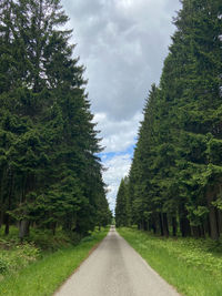 Road amidst trees against sky