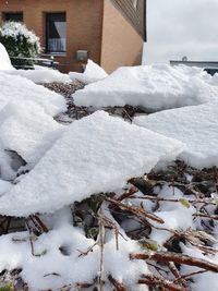 Snow covered land by building