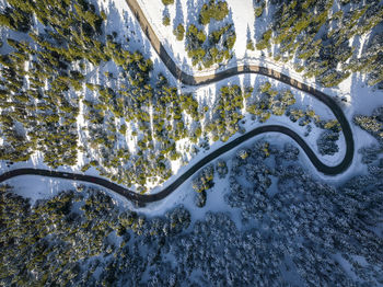 Snow covered winding road amidst trees