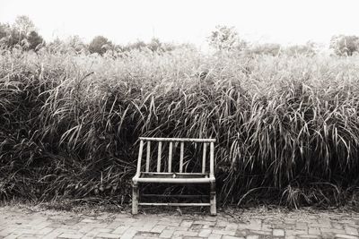 Empty bench in park