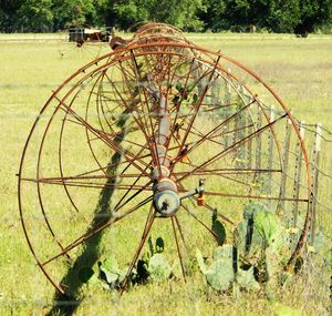 Ferris wheel on field