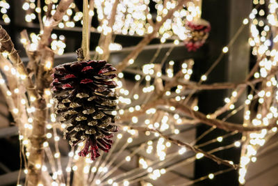 Close-up of illuminated christmas tree