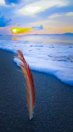 Close-up of water on beach against sky during sunset