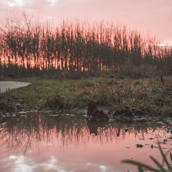 Scenic view of lake against sky at sunset