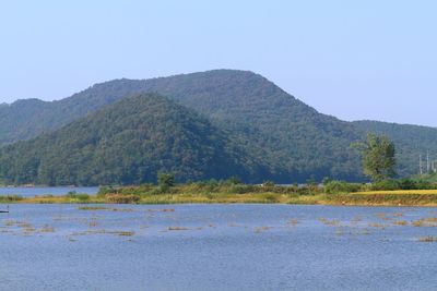 Scenic view of lake against clear sky