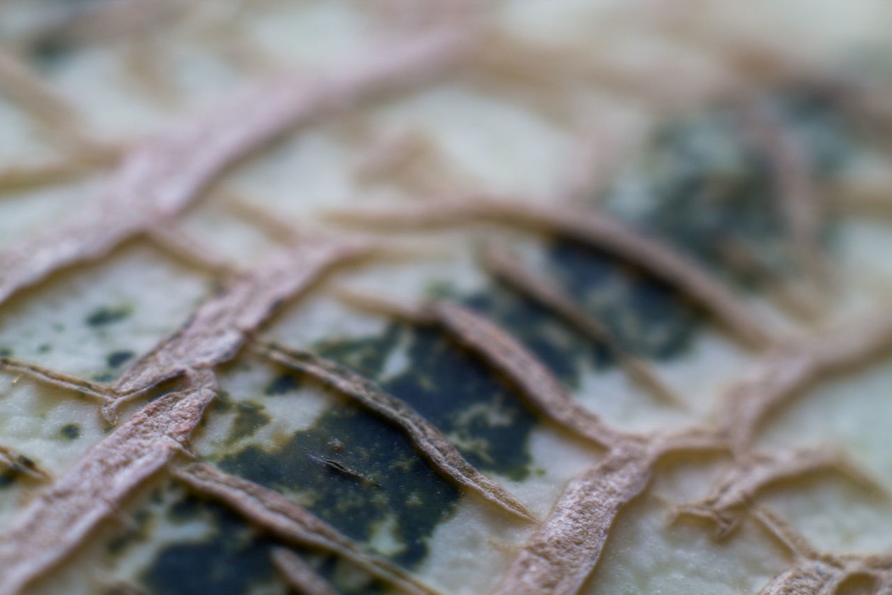 FULL FRAME SHOT OF BREAD WITH METAL