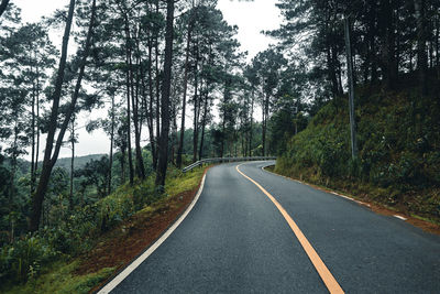 Empty road along trees in forest