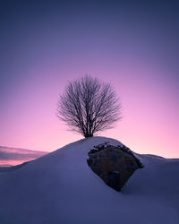 Silhouette bare tree against clear sky during sunset