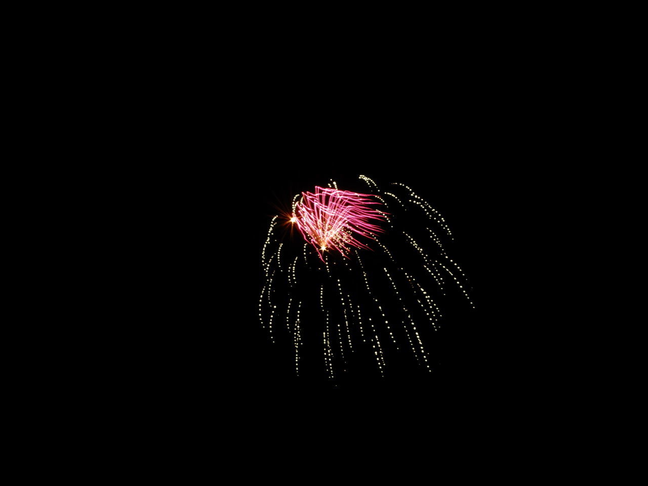 LOW ANGLE VIEW OF FIREWORK DISPLAY AGAINST SKY