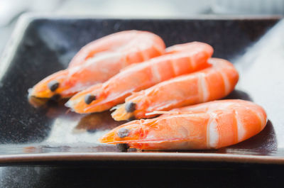 Close-up of fish on ice