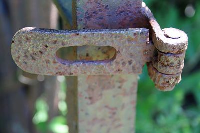 Close-up of rusty metal