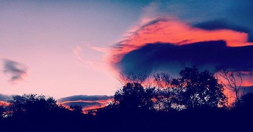 Silhouette of trees at sunset