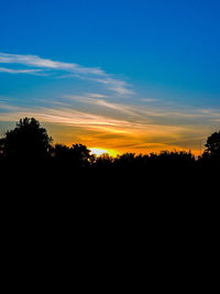 Silhouette of trees at sunset