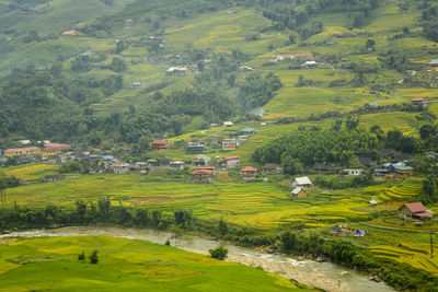 Scenic view of agricultural field by houses and trees