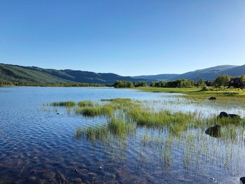 Scenic view of lake against clear blue sky