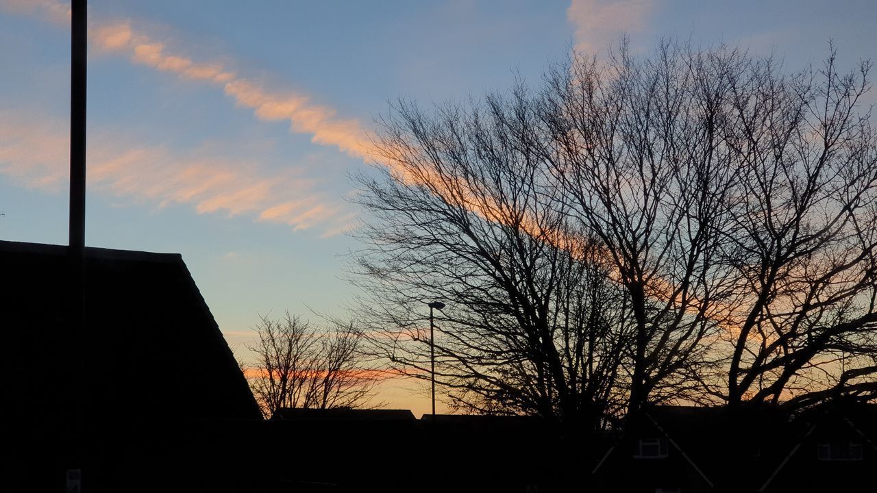 LOW ANGLE VIEW OF SILHOUETTE TREE AND BUILDING AGAINST SKY