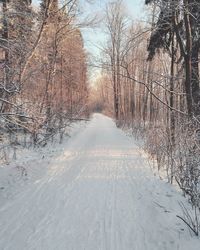 Close-up of snow covered landscape