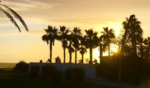 Silhouette of palm trees at sunset