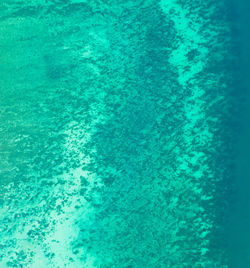 Aerial view of sea