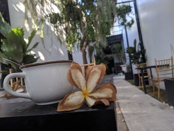 Close-up of coffee cup on table