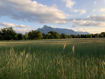 Scenic view of field against cloudy sky