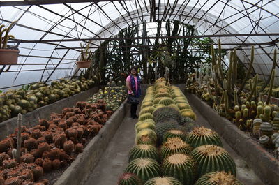 Mid adult woman standing in greenhouse