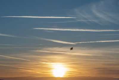 Silhouette of birds flying in sky